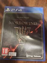 The elder scroll online Morrowind ps4