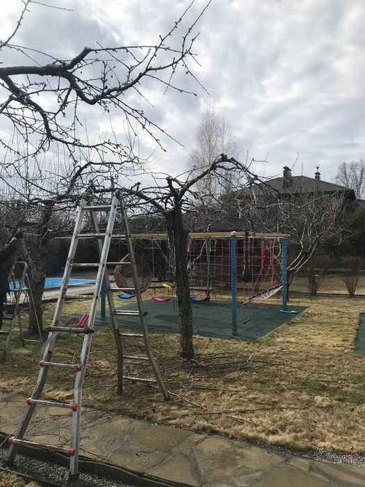 Спил деревьев аккуратно Формирование крон Омоложение деревьев