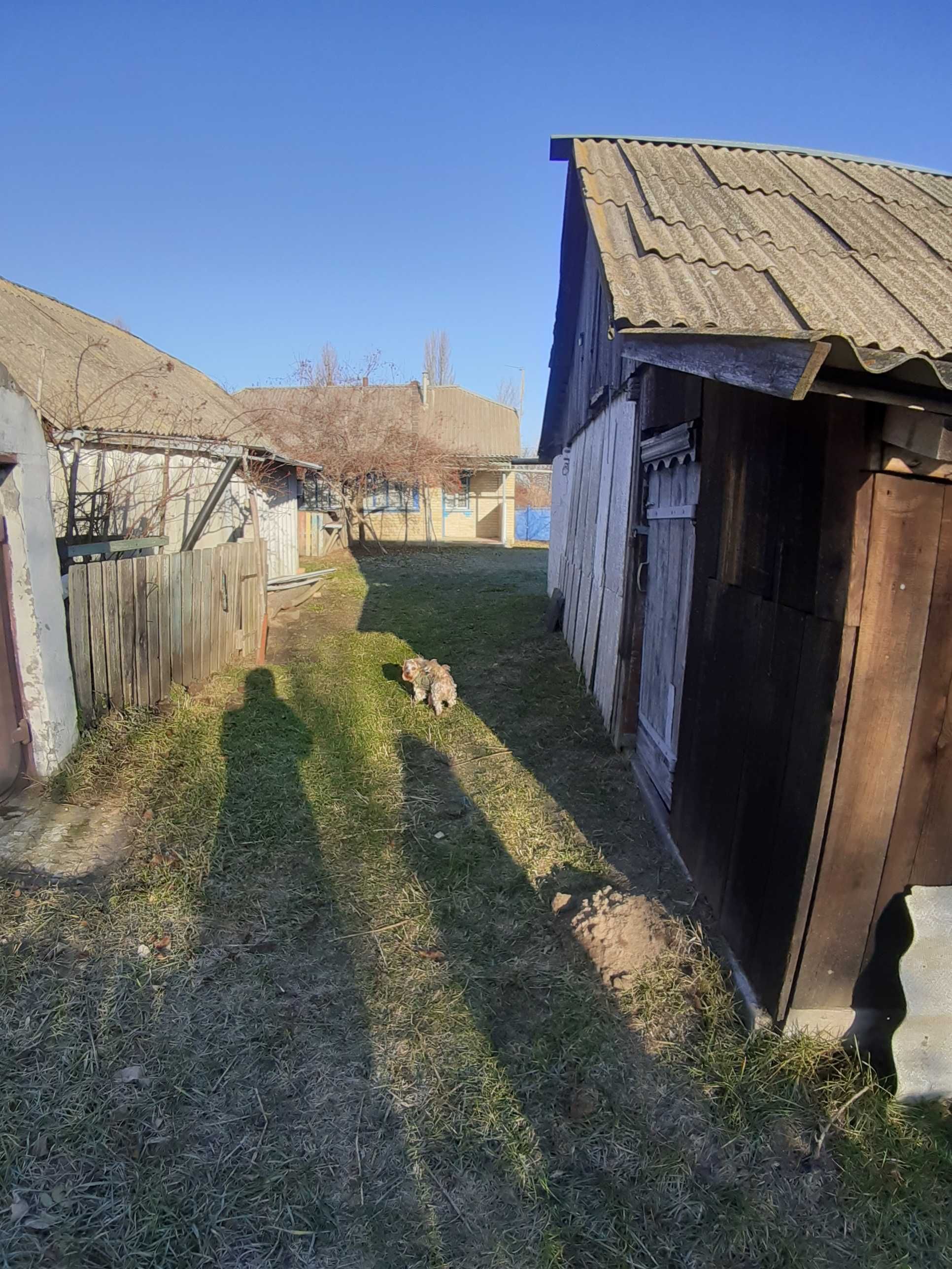 Будинок продаж Брусилівський р.н