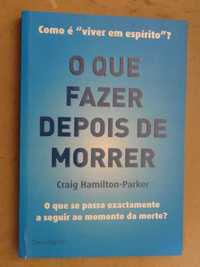 O Que Fazer Depois de Morrer? de Craig Hamilton-Parker - 1ª Edição