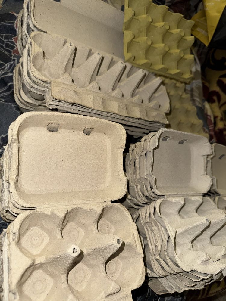 caixas de ovos vazias