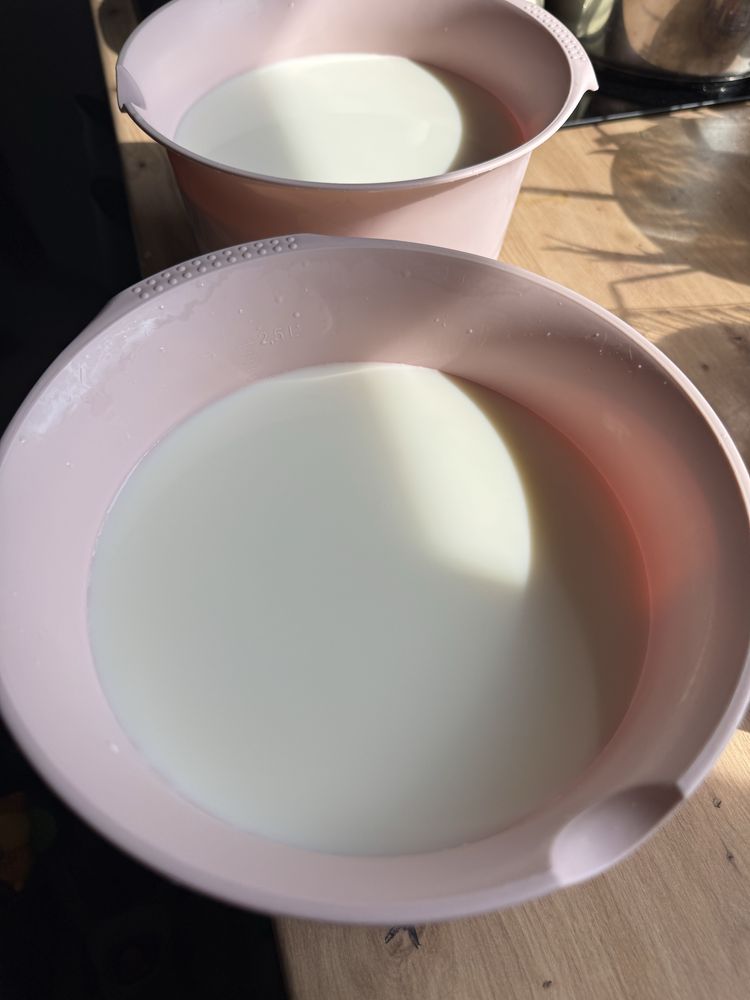 Mleko kozie sloik 900ml