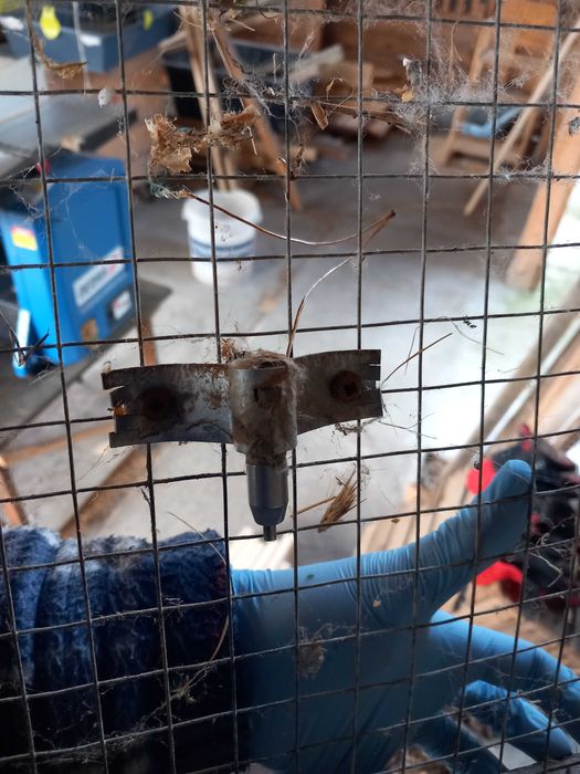 Poidła dla królików