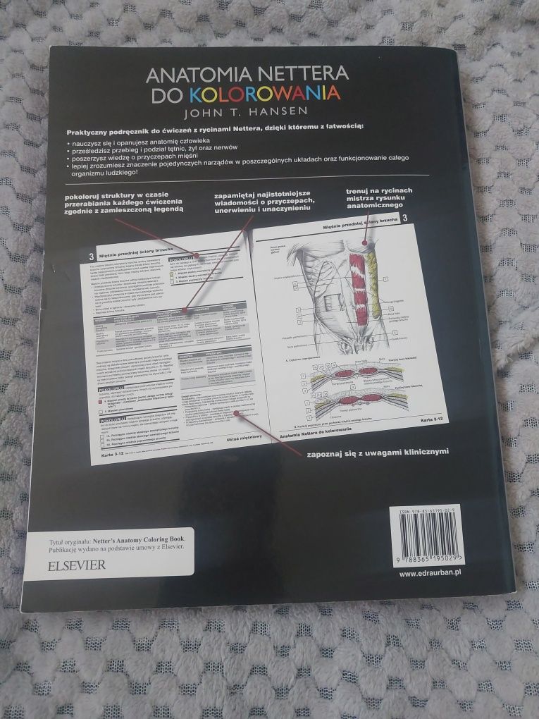 Anatomia Nettera do kolorowania