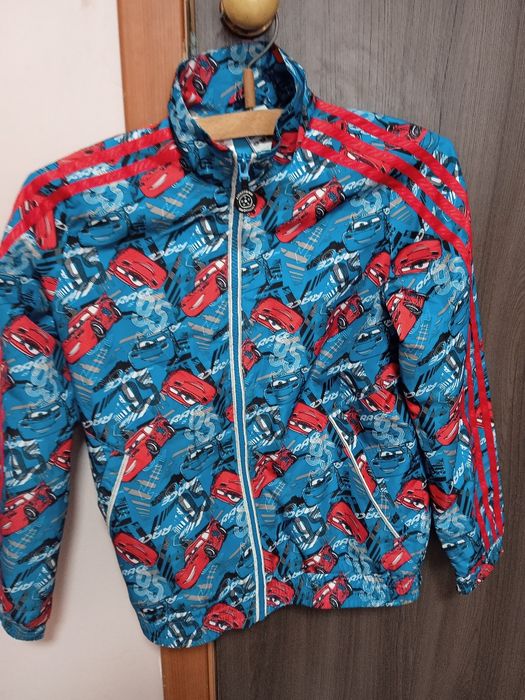 Вітровка хлопчача