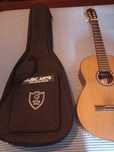 Guitarra APC modelo 5C