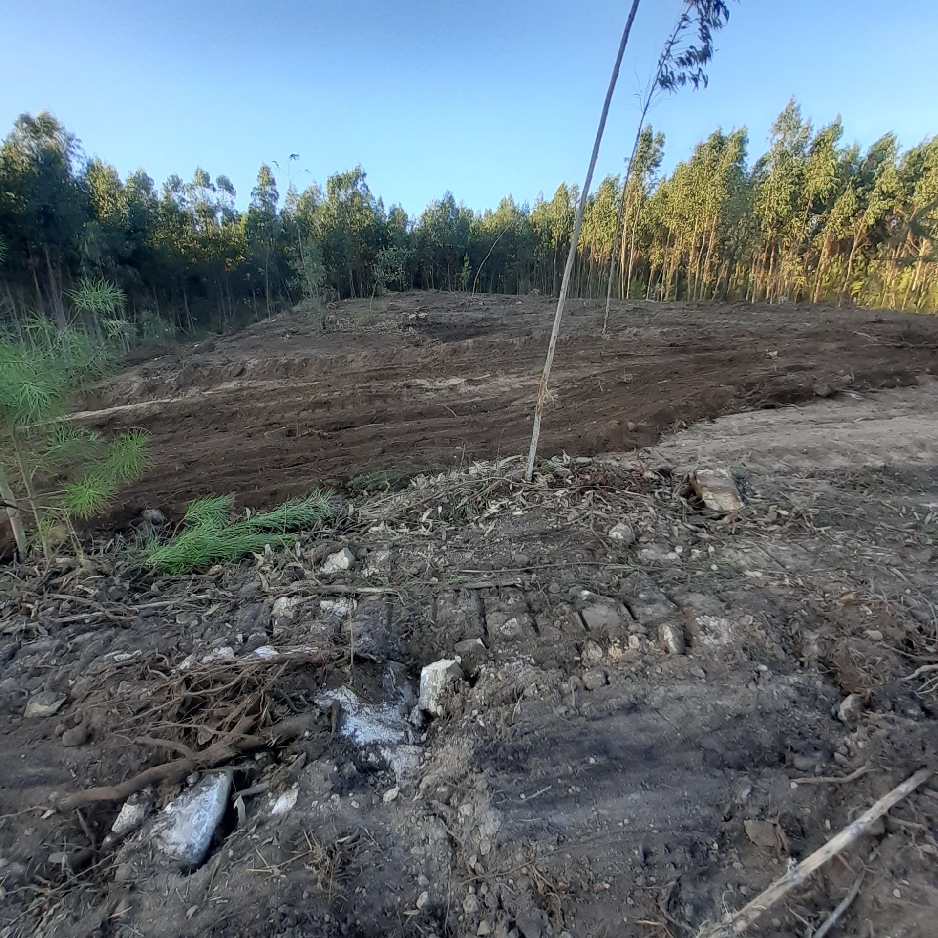 Terreno de construção para venda em Vila cova perto de Esposende