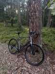 Trek Checkpoint ALR 4