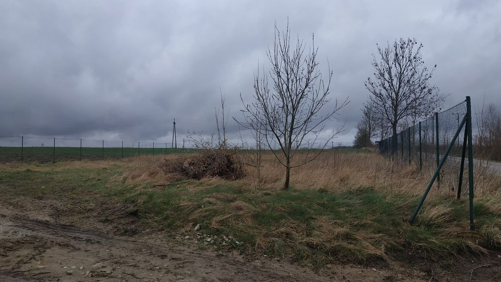 Działka w Chynowie