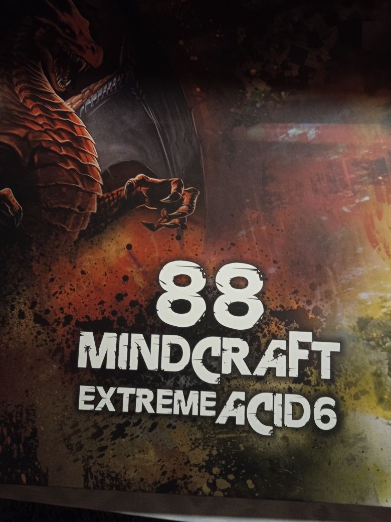 Płyta winylowa 88 Minecraft Extreme Acid