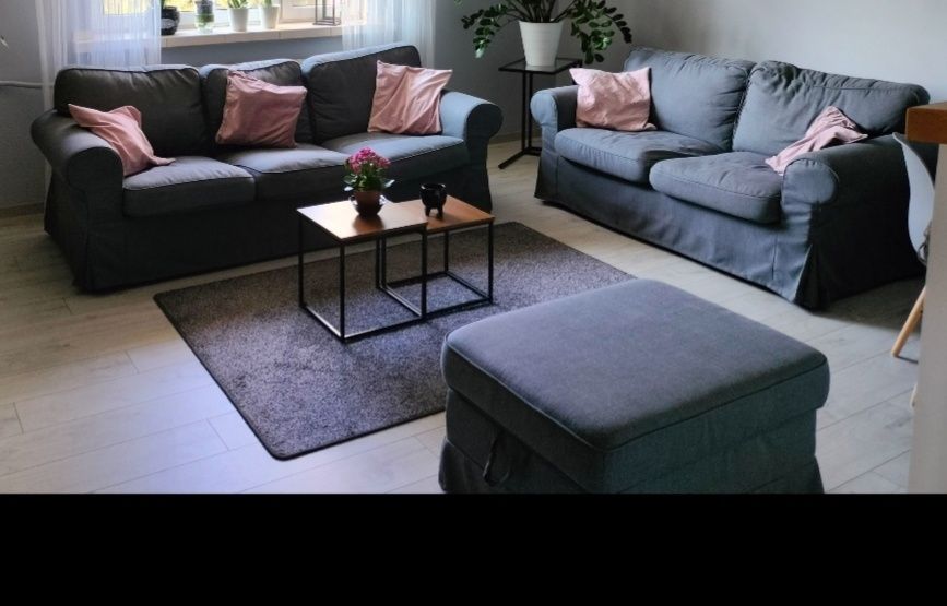 Sofa dwu osobowa + trzy osobowa.