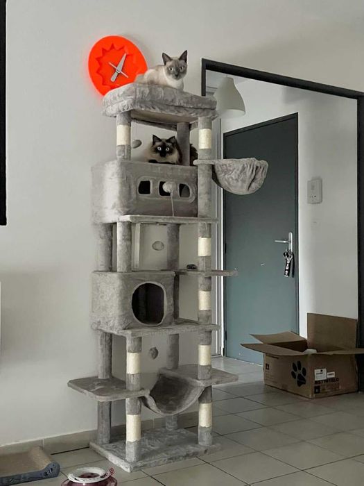 Drapak dla kota 170 cm – wielopoziomowa (NOWA) z legowiskami