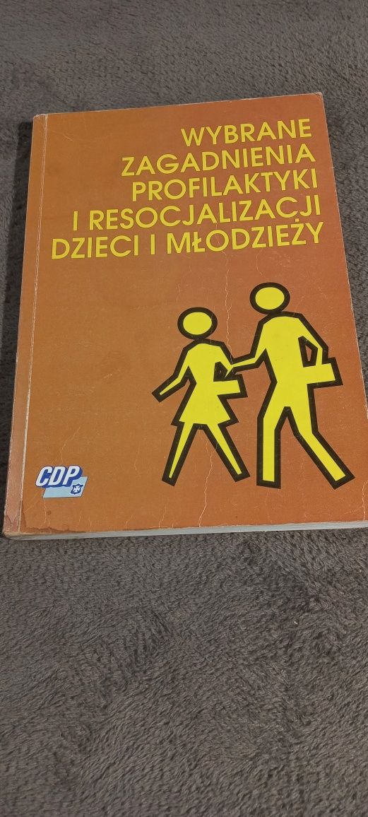 Wybrane zagadnienie profilaktyki i resocjalizacji  dzieci i młodzieży