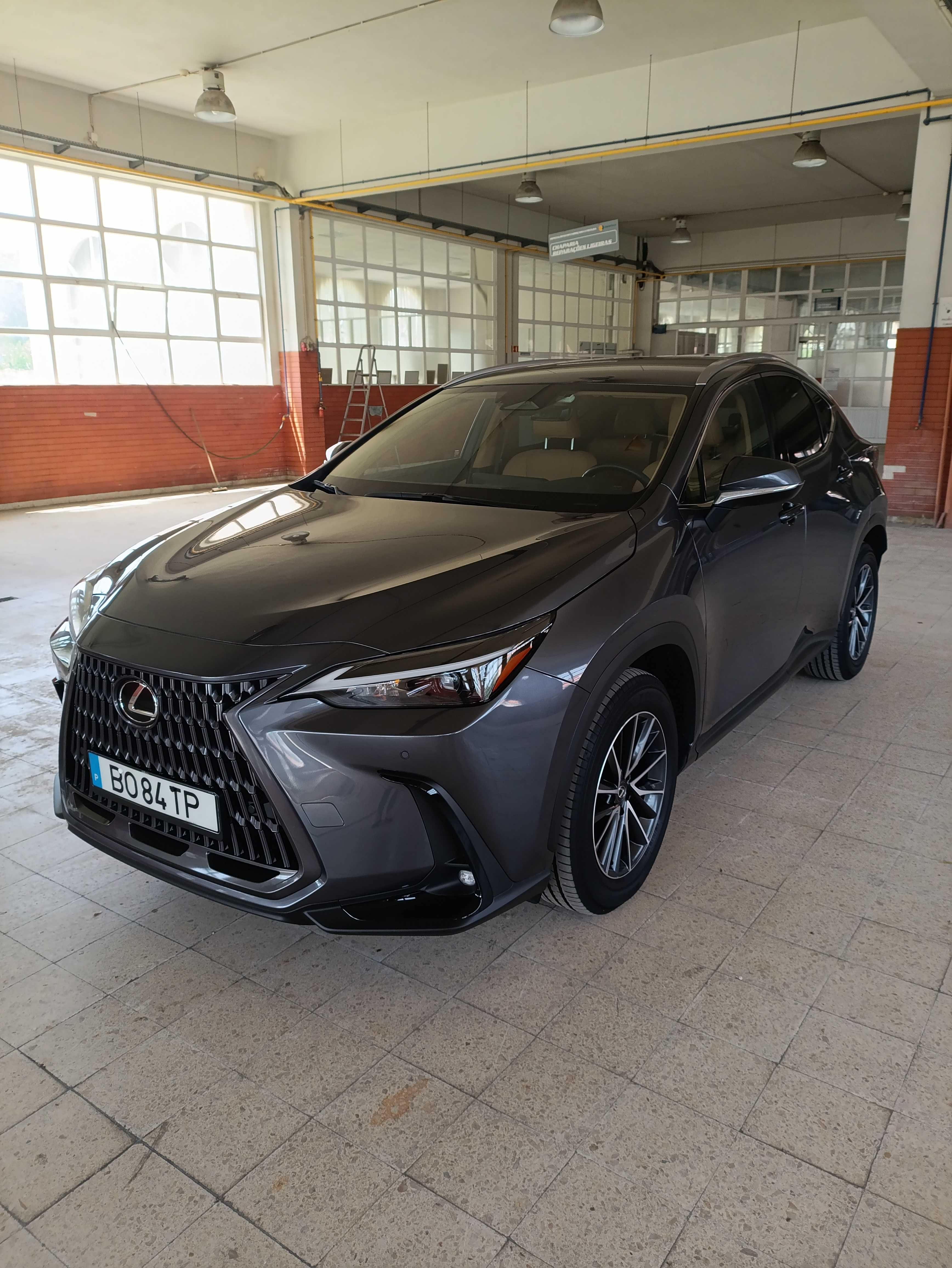 Lexus NX 450h+ Executive (Nov. 2024)