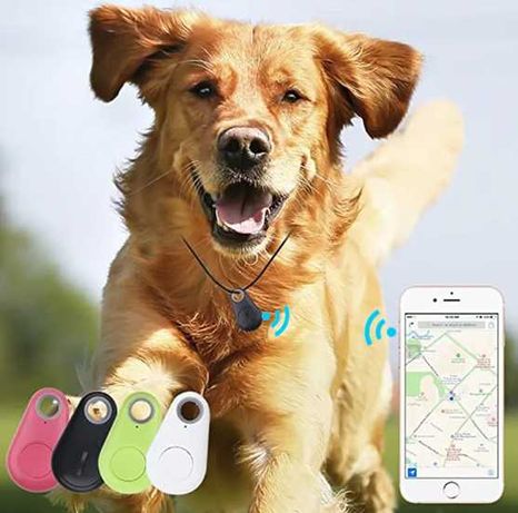 GPS трекер для домашніх тварин