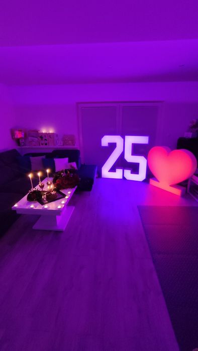 Wynajmę cyfry ledowe 0,1,2,3,4,5,6,8