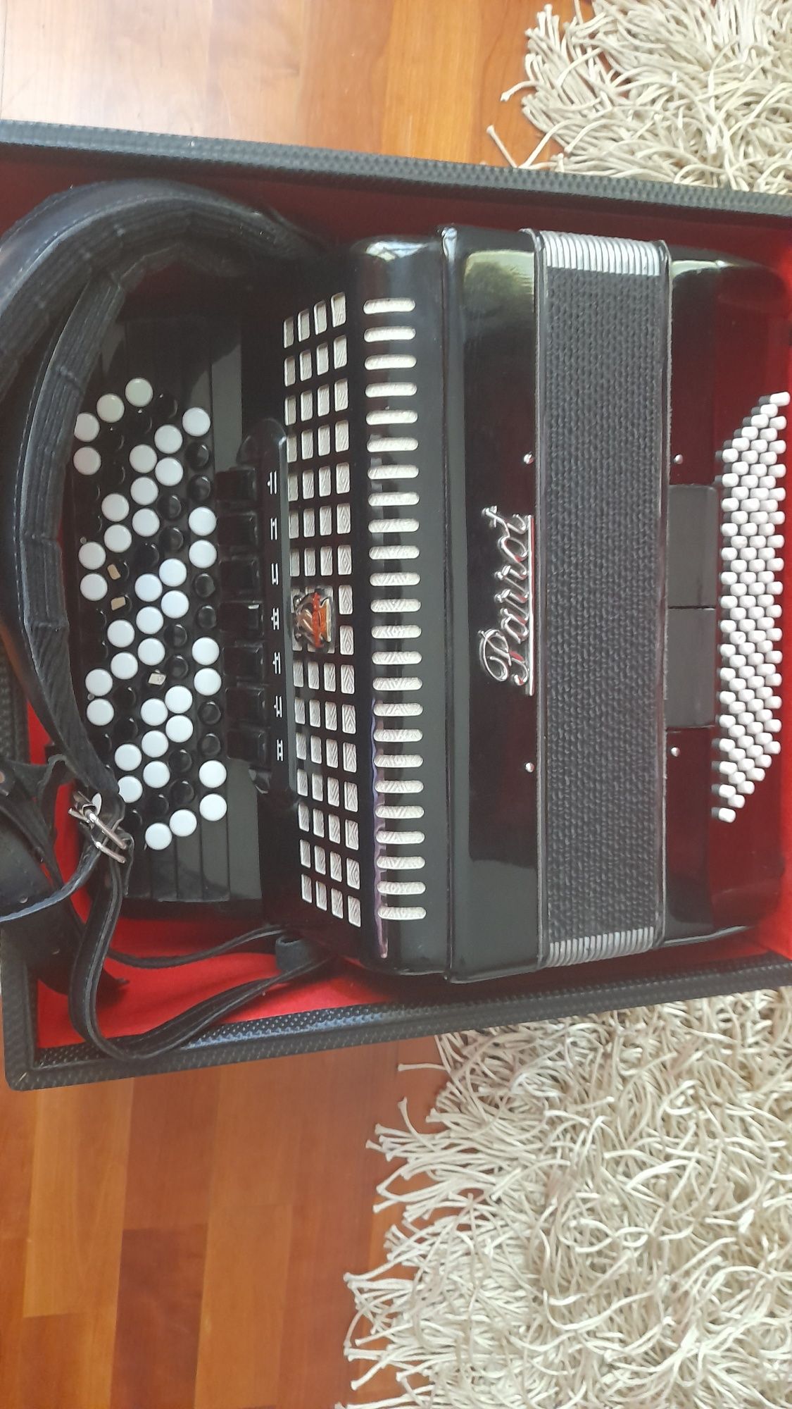 Acordeon marca parrot