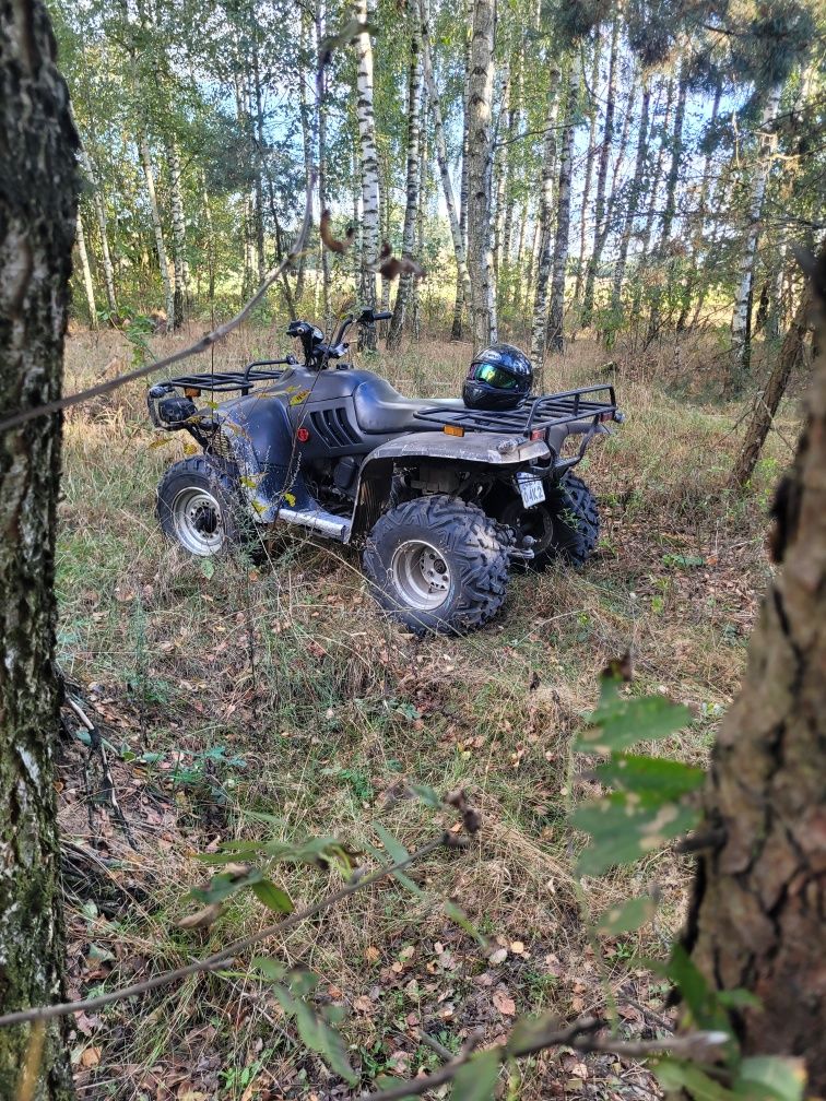 Quad Linhai 300.