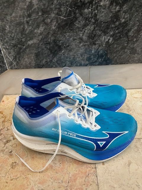 Mizuno wavwe rebellion 2