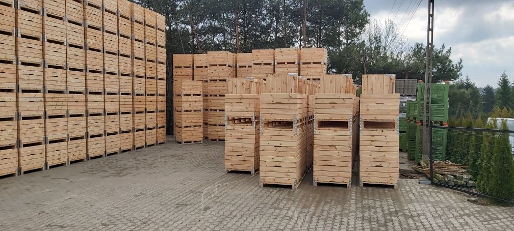 Skrzyniopalety na owoce - warzywa