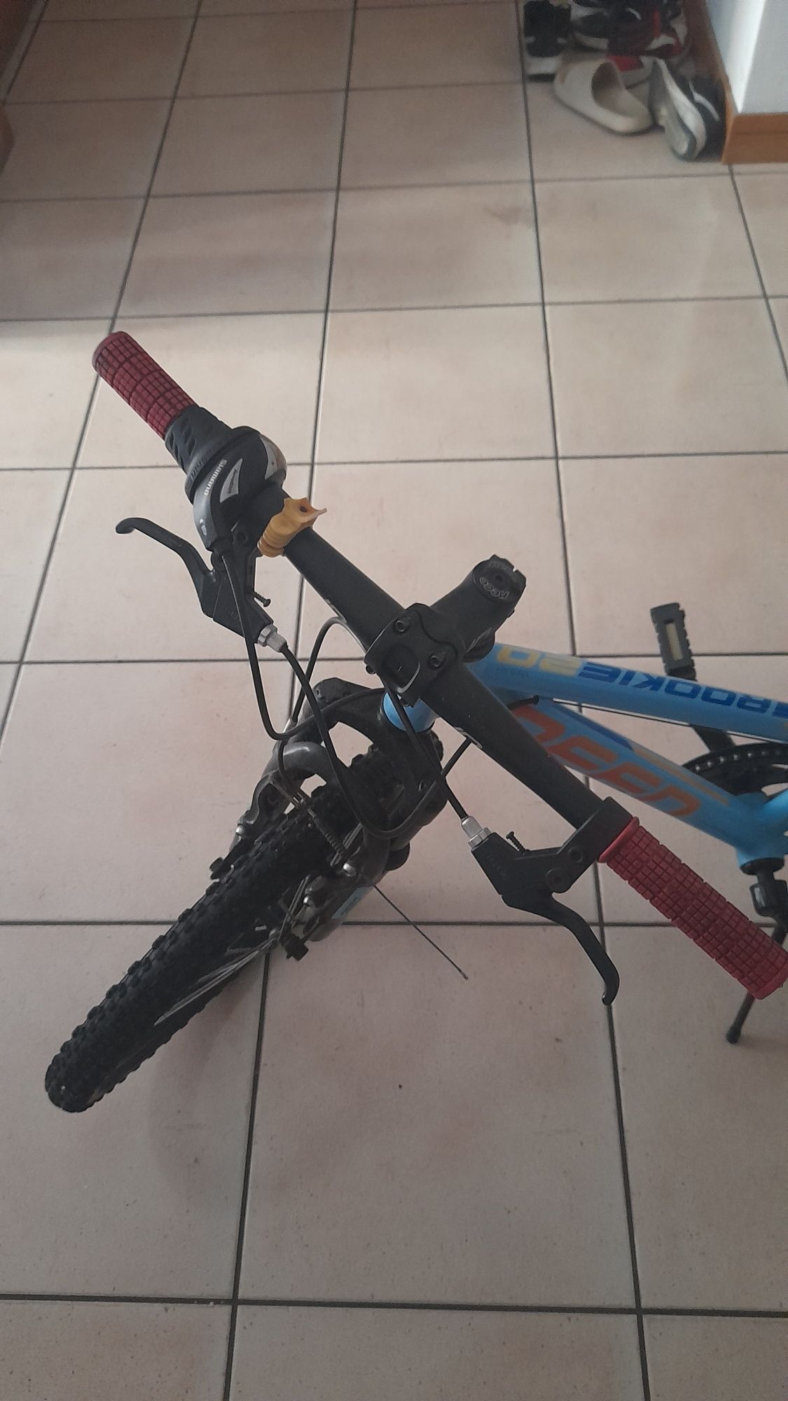 Bicicleta rookie 20 Deed