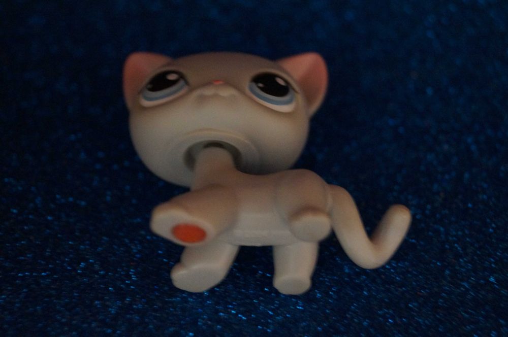 Littlest Pet Shop LPS #246 shorthair oryginalny cat pop Hasbro