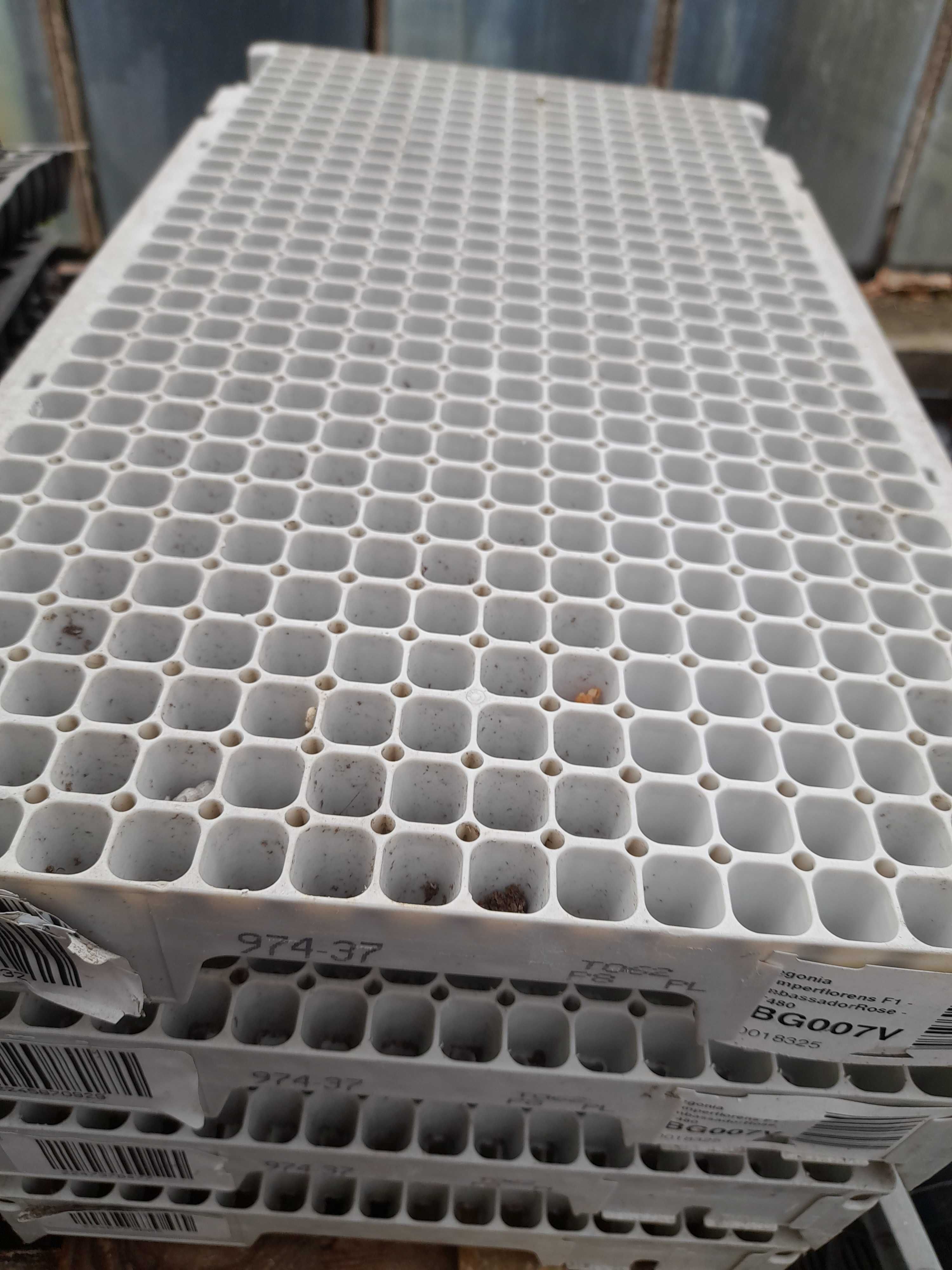 Multipalety 104 oczek i 86 oczek