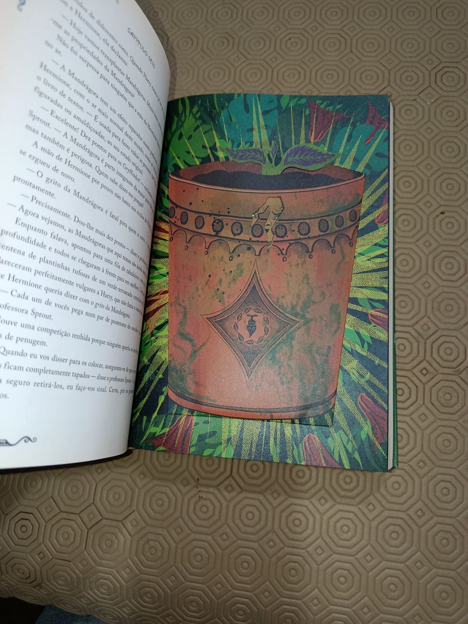 Harry Potter volume 1 e 2