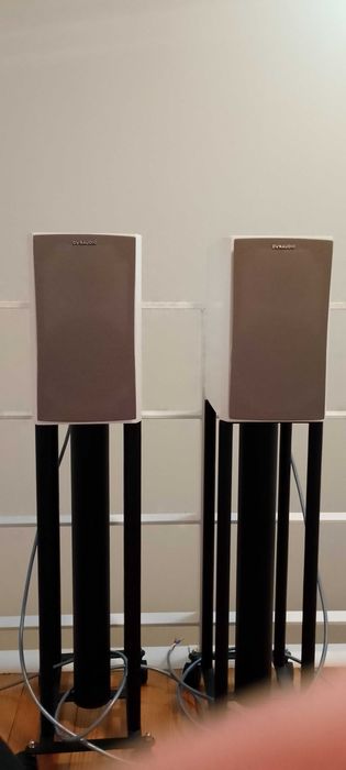 Dynaudio Exite X18 em estado praticamente novo Incluindo cabos