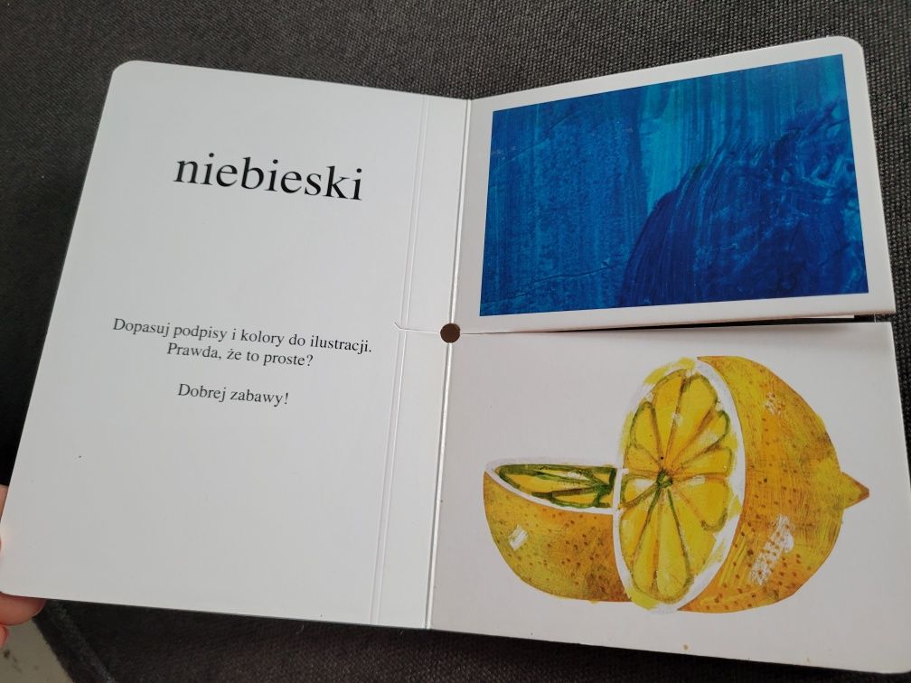 Moja pierwsza książka o kolorach. Eric Carle.