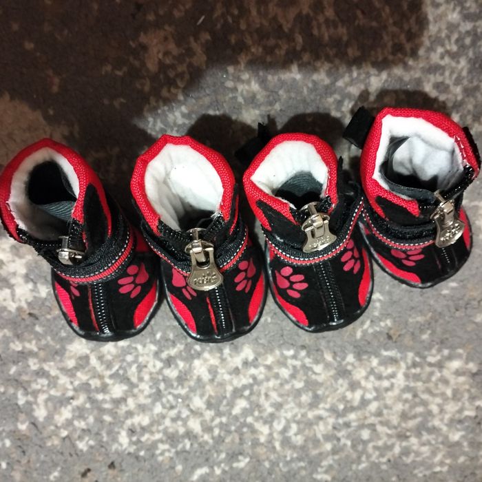 Кусачки , взуття , набір для собаки