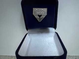 Insígnia de Antigo Combatente