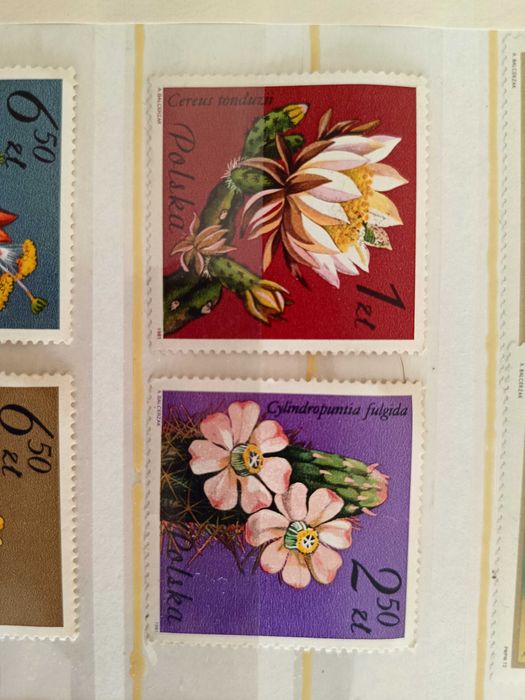 Znaczki seria sulkulenty 1981