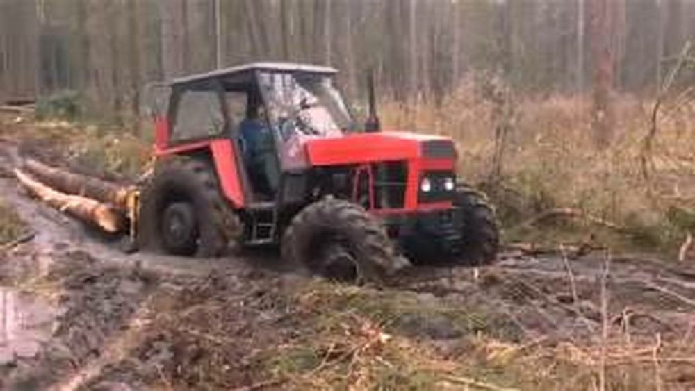 Usługi leśne zrywka, ścinka