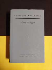 Martin Heidegger - Caminhos de Floresta
