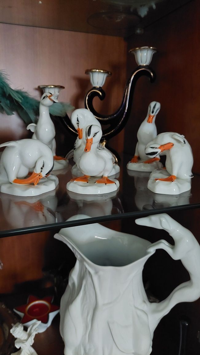 Patos vista alegre (reservados)