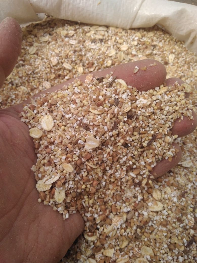 Продам кашу для собак