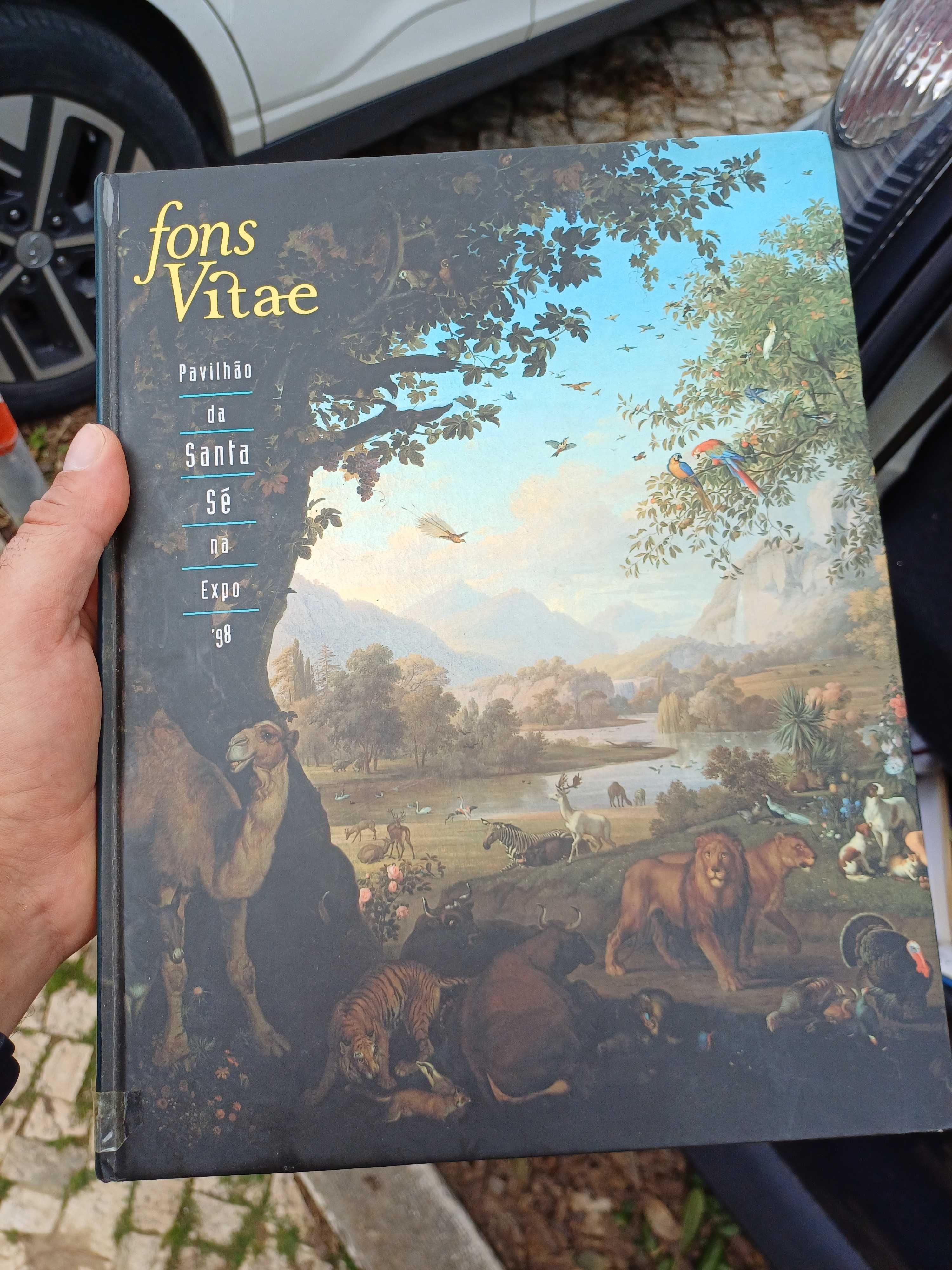 Vendo livro bom estado