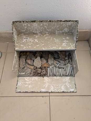 Caixa com mais de 200 fósseis portugueses variados