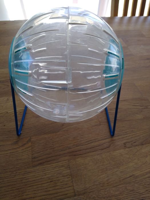 Duża kula dla gryzoni