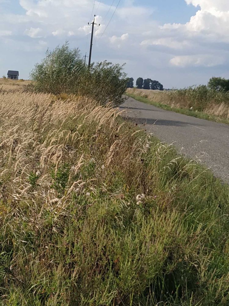 Продам земельну ділянку під забудову