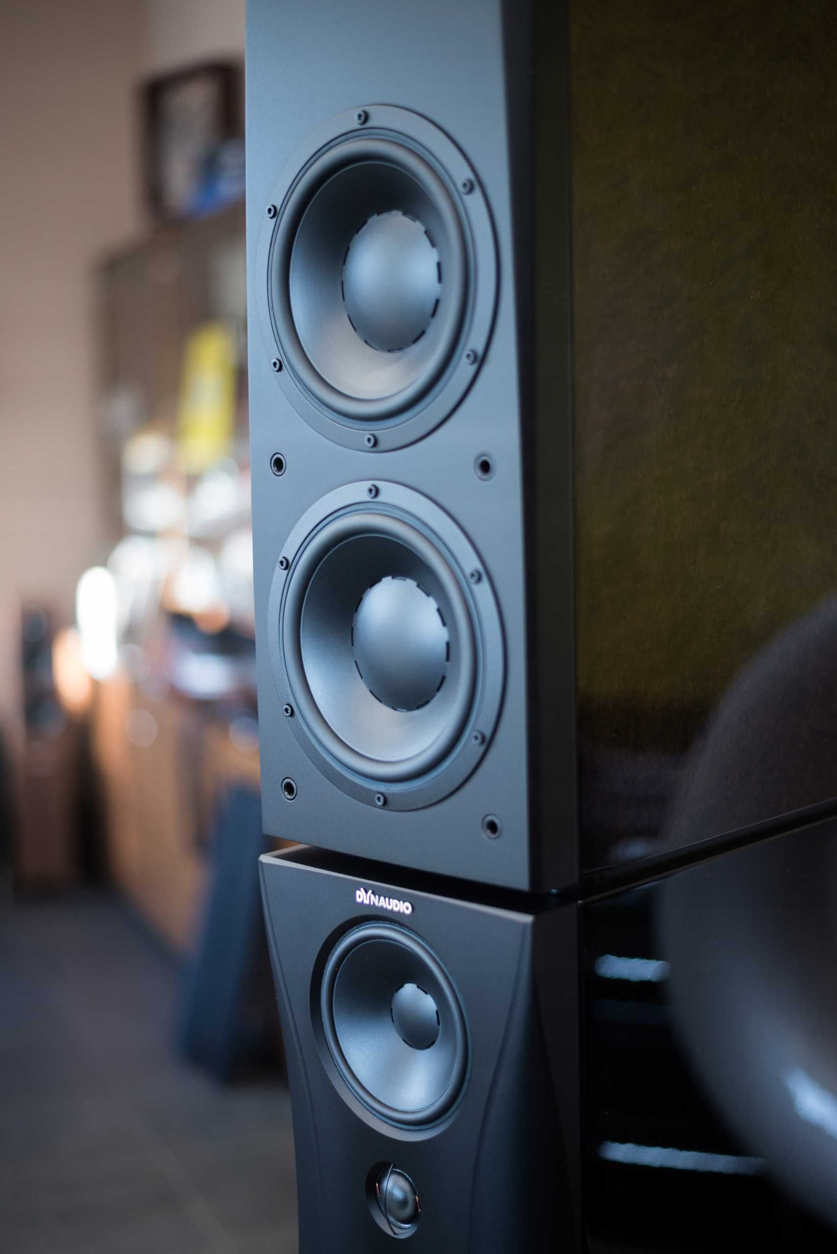 DYNAUDIO Evidence Platinum