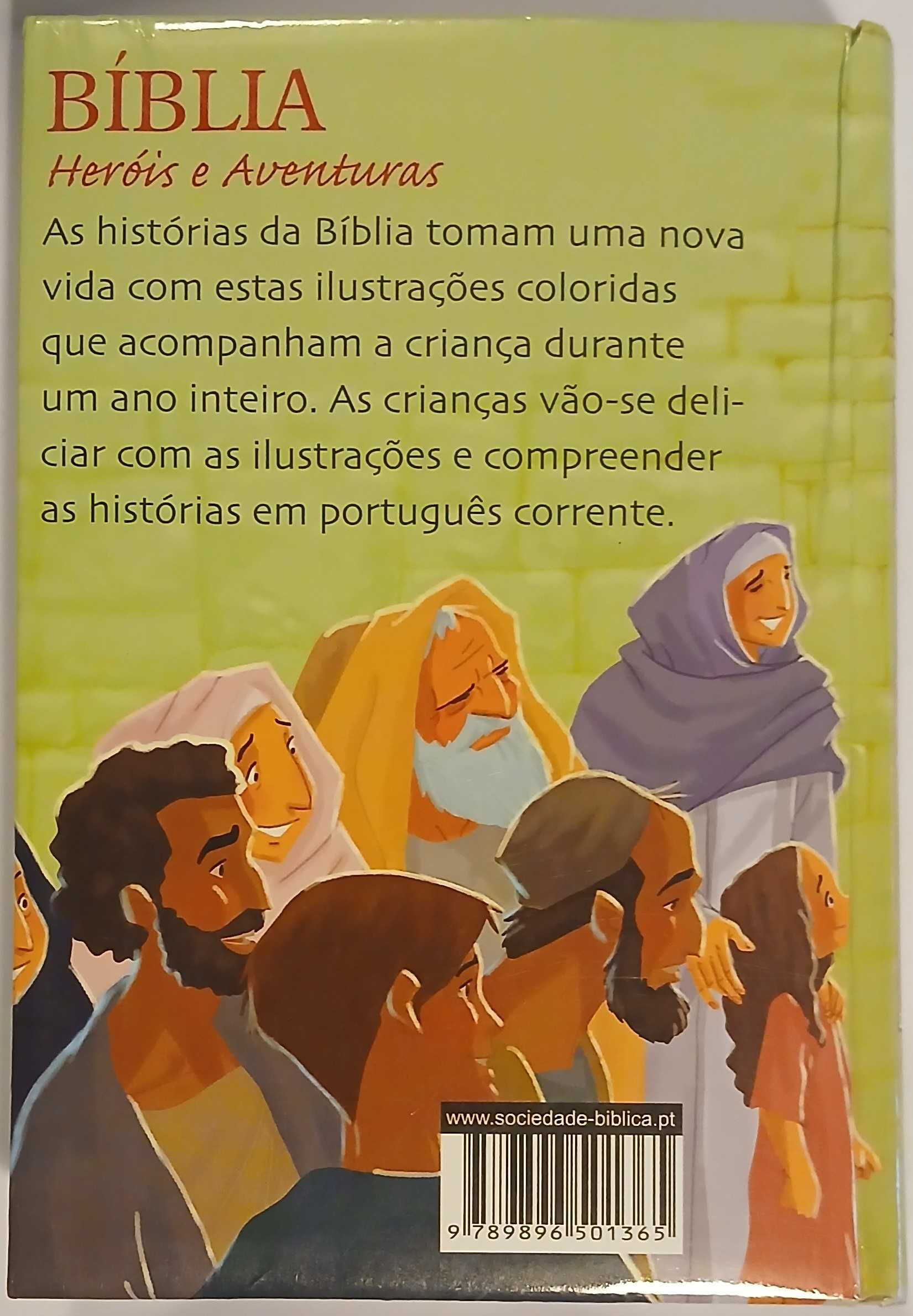 Bíblia - Heróis e Aventuras - 365 histórias (de Ben Alex)