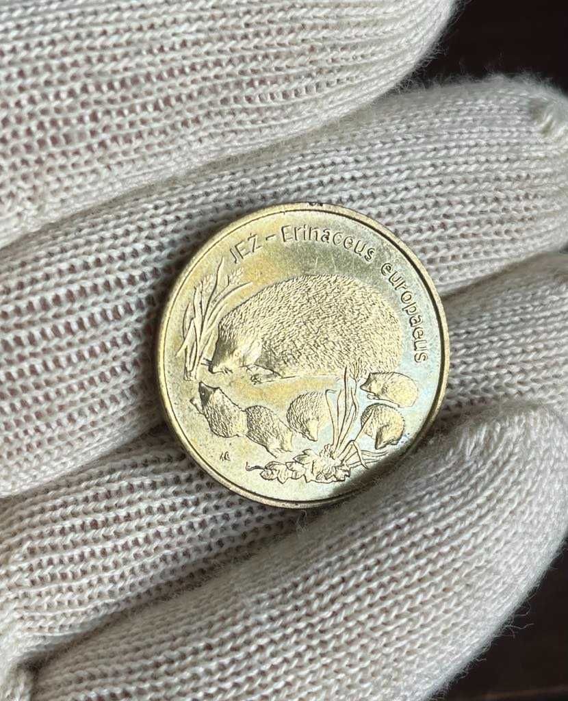 2 Złote Jeż 1996 NG Moneta