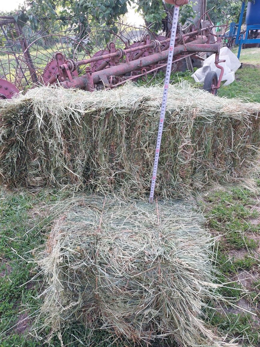 Сіно в тюках найкращої якості.