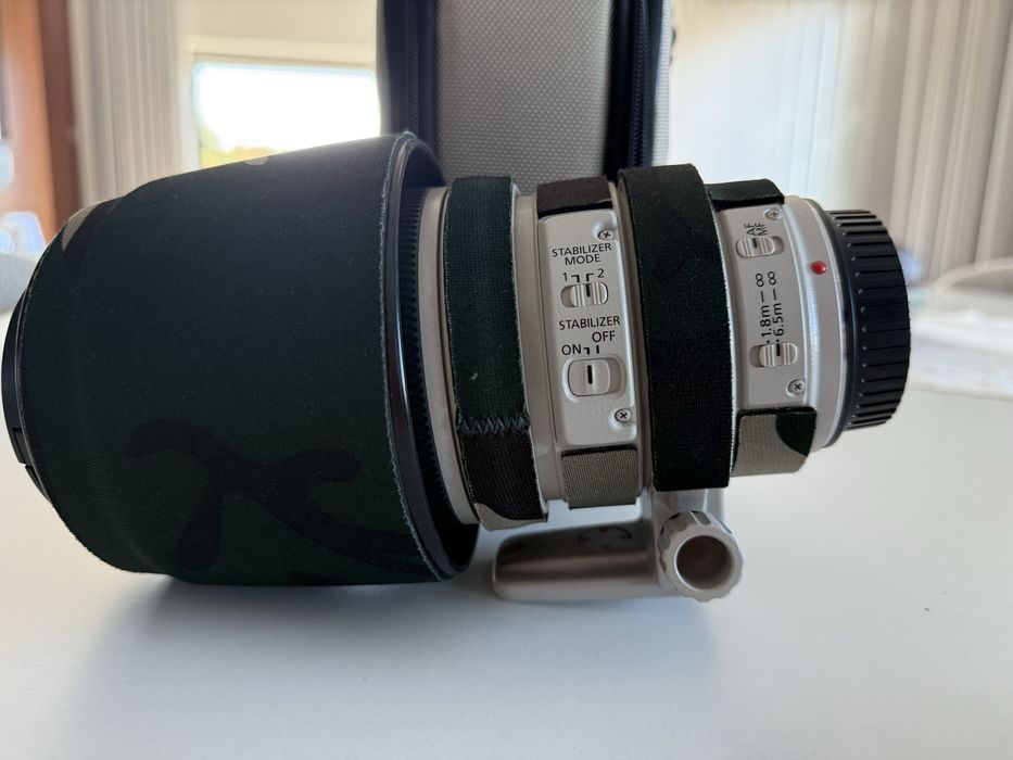 Objectiva Canon 100-400