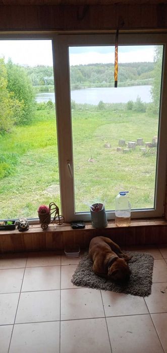 продам дом мечты на берегу озера