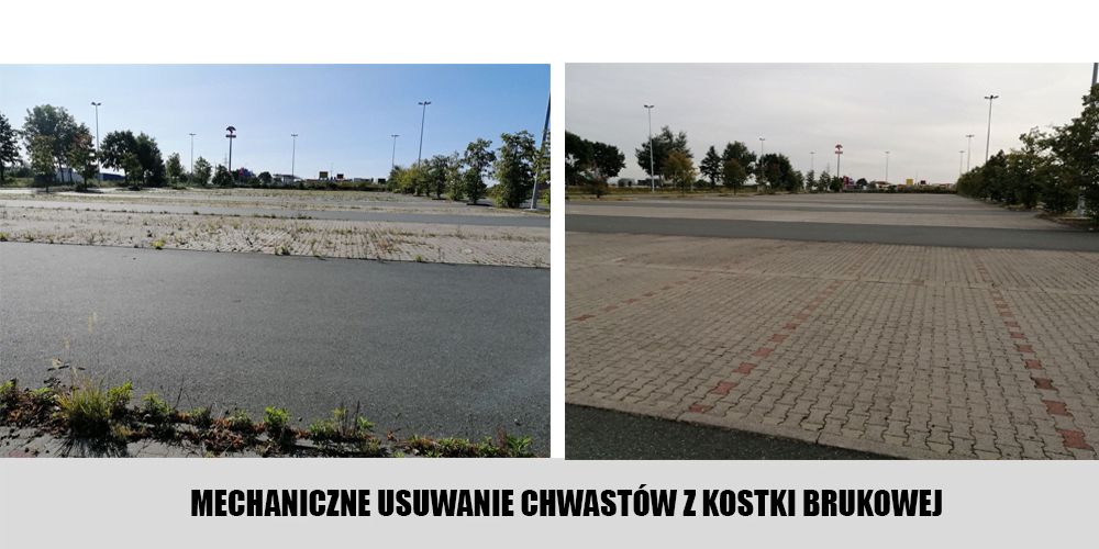 Koszenie Trawy woj. Dolnośląskie, Lubuskie - Zgorzelec, Zielona Góra