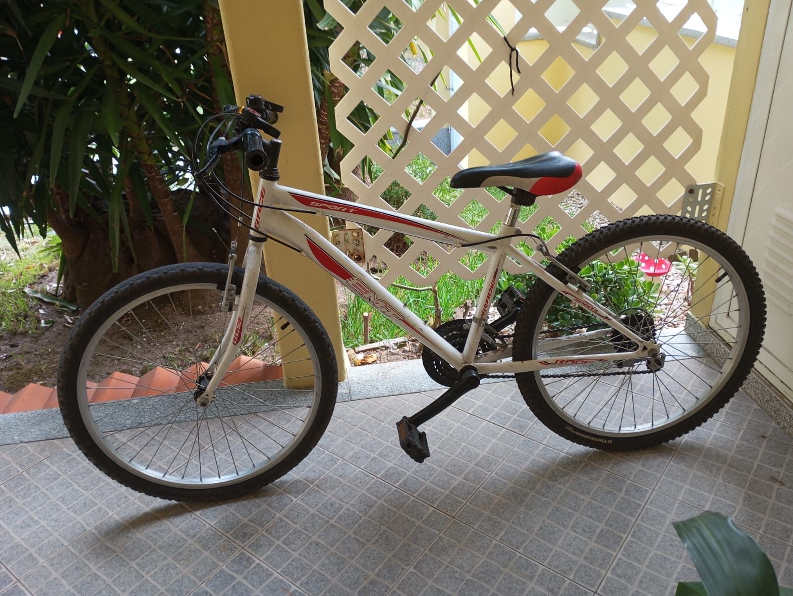 Bicicleta roda 24