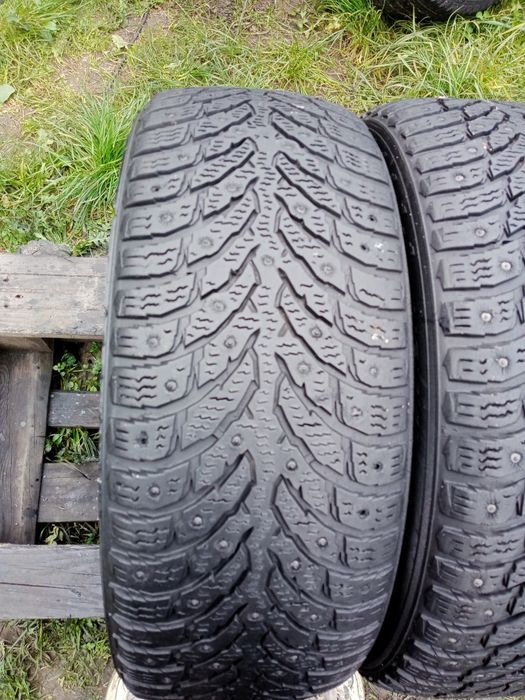205 55 r16 Nokian Hakapelitta 2017p